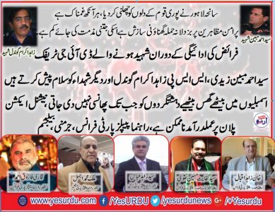 we condemn, terrorism, in lahore, ppp, leaders, oversease