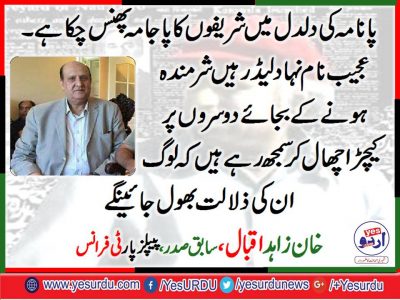 Khan Zahid Iqbal, EX, President, PPP, France