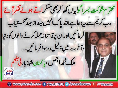 Malik Ajmal, Senior, Leader,PPP, Belgium