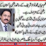 Malik Nasir, PMLN, France