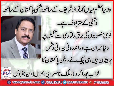 Malik Nasir, PMLN, France