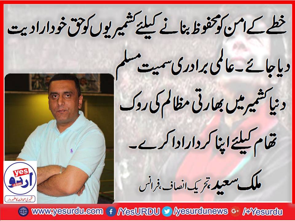 Malik Saeed, Senior, Leader, PTI, France