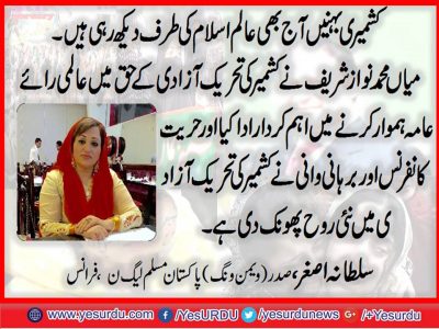 Malika Sultana, President, women wing, PMLN, France