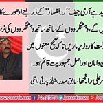 Nasir ali ranjha, Ex, President, PPP, Italy