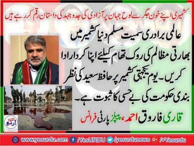 Qari Farooq Ahmed, Organizer, PPP, Europe