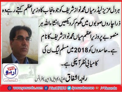 Raja Ashfaq, Senior Leader, PMLN, France