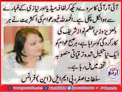 Sultana Asghar, President, women, wing, PMLN, France