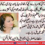 Sultana Asghar, President, women, wing, PMLN, France