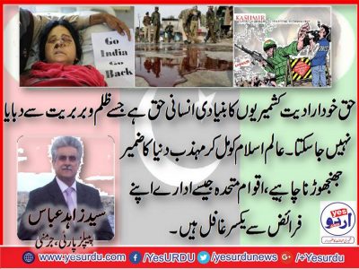 Syed Zahid Abbas, Senior, Leader, PPP, Germany