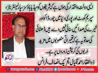 Zulifqar nagial, Senior Leader, PTI, France