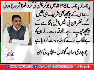 ch. Sajid Gondal, Senior, Leader, PPP, Spain