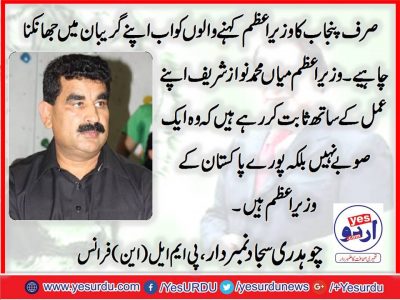 ch. sajjad numberdar, PMLN, France