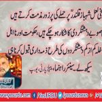 qari, farooq, ahmed, farooqi, senior, leader, PPP, France