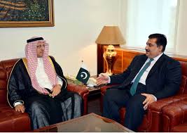 The unique business opportunities for Arabs in Pakistan by Orya Maqbool Jaan on today