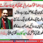 Syed,KIfayat, Naqvi, PPP, France, Senior,Leader