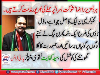 Syed,KIfayat, Naqvi, PPP, France, Senior,Leader