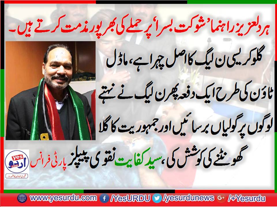 Syed,KIfayat, Naqvi, PPP, France, Senior,Leader