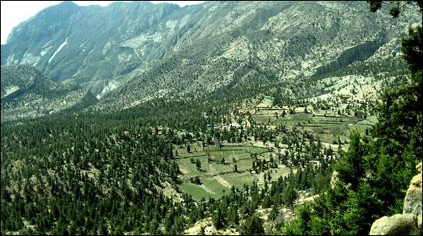 Ziarat: Pine forests included in the list of World Heritage