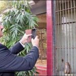 Karachi: CM Sindh directed to Zoo repair