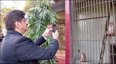 Karachi: CM Sindh directed to Zoo repair