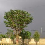 Quetta valley: Cloud casts in Chaman and the surrounding