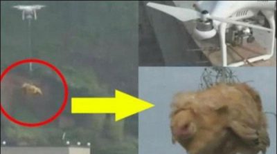 China: teenager convinced his mother in law to send gift from drone