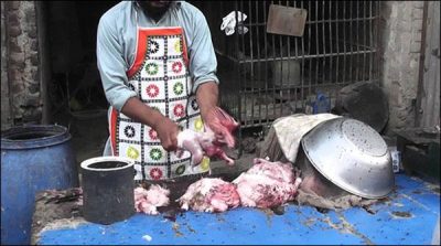Raid of Punjab Food Authority, destroy 30 munn dead poultry