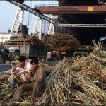 In order to prevent crushing of sugarcane in three sugar mills