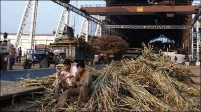 In order to prevent crushing of sugarcane in three sugar mills