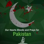 WHY. NATIONAL, FLAG, DOWN, BY, TAYYABA, ZIA, USA