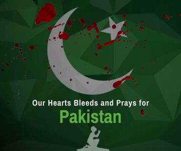 WHY. NATIONAL, FLAG, DOWN, BY, TAYYABA, ZIA, USA