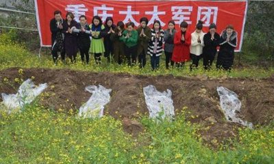GRAVEYARD, OF, DIVORCED, WOMEN, IN, JAPAN