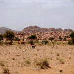 Assistant Commissioner designation empty in 6 districts from 7 in Thar