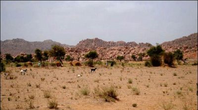 Assistant Commissioner designation empty in 6 districts from 7 in Thar