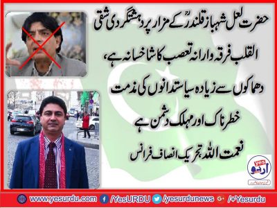 naimat ullah, Senior, Leader, PTI, France