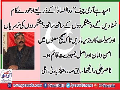 nasir ali ranjha, EX, PRESIDENT, PPP, ITALY