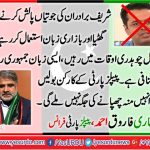 QARI, FAROOQ, AHMED, KHAN ZAHID IQBAL, SYED ZAHID ABBAS SHAH, MALIK MUHAMMAD AJMAL, ABDUL SATTAR MALIK, SYED KIFAYAT HUSSAIN NAQVI, CONDEMNS, PMNLN,S DIRTY, POLITICS,ON, SEHWAN, INCIDENT