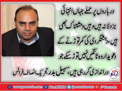 sohail badar, Senior, Leader, PTI, France