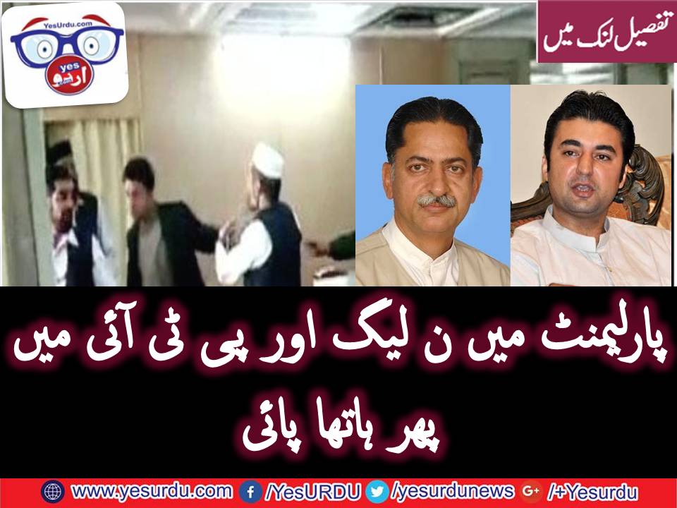 PARLIAMENT, HOUSE, PTI, AND, PMLN, FIGHTING, EACH, OTHER, TODAY