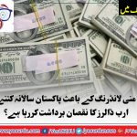 PAKISTAN, IS, BEARING, 10, MILLION, DOLOR, LOSS, PER, YEAR, BECAUSE, OF, MONEY, LAUNDERING