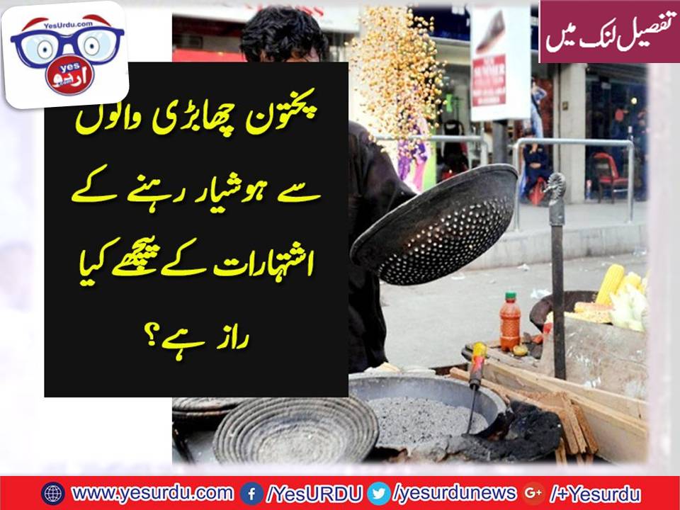 PAKHTOONS, VICTIMS, OR, REASON, BEHIND, TERRORISM