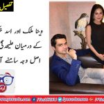 VEENA, MALIK, SUBMITTED, PETITION, IN, COURT, FOR, DIVORCE, FROM, ASAD BASHEER, KHATTAK