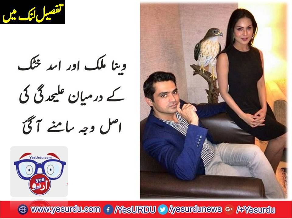 VEENA, MALIK, SUBMITTED, PETITION, IN, COURT, FOR, DIVORCE, FROM, ASAD BASHEER, KHATTAK