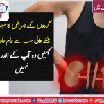THE, THINGS, THAT, MATTERS, TO, KIDNEYS, BUT, WE. USE, DAILY