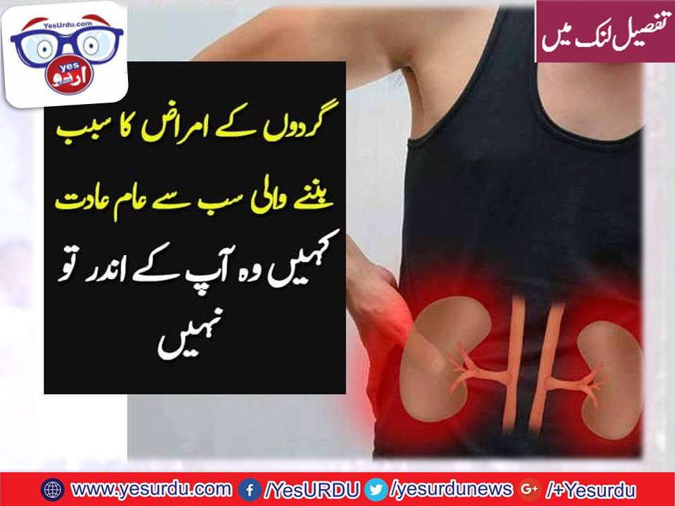 THE, THINGS, THAT, MATTERS, TO, KIDNEYS, BUT, WE. USE, DAILY