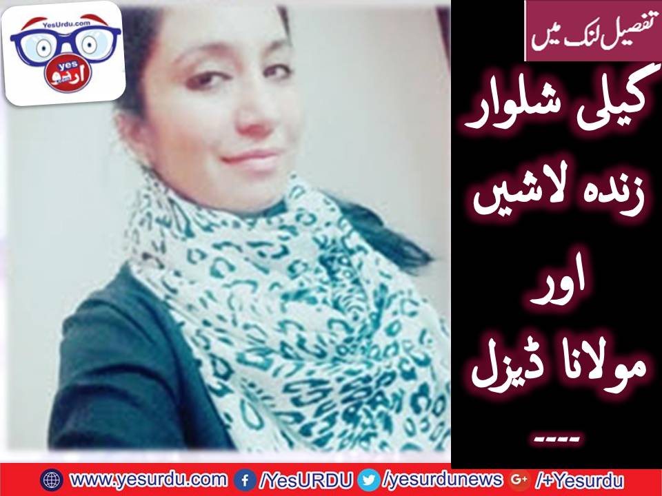 WET, PANTIES, LIVING, DEAD BODIES, AND, MOLANA, DIESEL, AND, NOW, PHATEECHAR