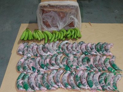 Failed attempt to smuggle drugs hidden in the fake bananas in Spain