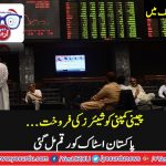 CHINESE, COMPANY, PAID, PST, THE AMOUNT, OF, SHARES, PURCHASED
