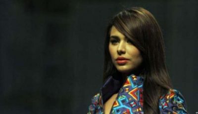 ayan ali, to, work, in, music, videos, of, zaman, ali, Pakistani, american, singer