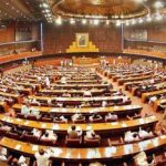 Parliamentary horse